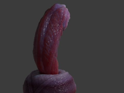 Fantasy Nikrann Dragon Penis Sextoy Low Poly Rigged 3D 模型