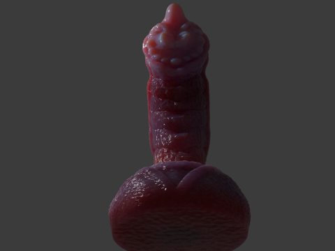 Fantasy Nikrann Dragon Penis Sextoy Low Poly Rigged 3D 模型