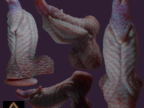 Fantasy Alien Gurax Penis Sextoy Rigged 3D Model