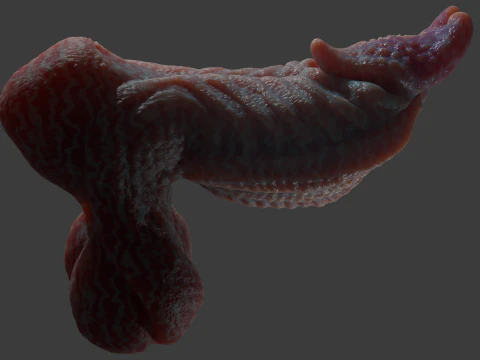 Fantasy Alien Gurax Penis Sextoy Rigged 3D Model