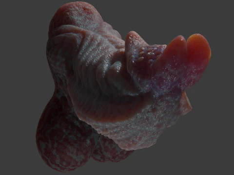 Fantasy Alien Gurax Penis Sextoy Rigged 3D Model