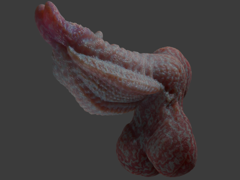 Fantasy Alien Gurax Penis Sextoy Rigged 3Dモデル