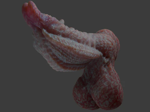 Fantasy Alien Gurax Penis Sextoy Rigged 3D Model