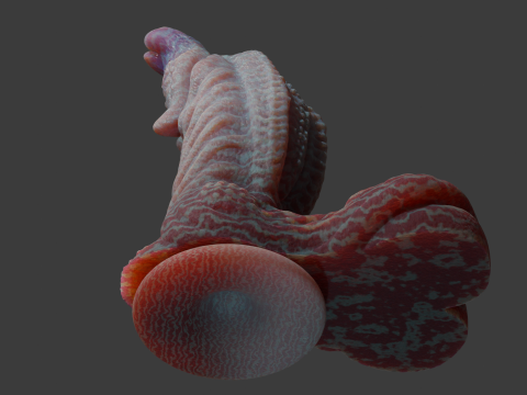 Fantasy Alien Gurax Penis Sextoy Rigged 3Dモデル