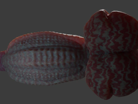 Fantasy Alien Gurax Penis Sextoy Rigged 3D Model
