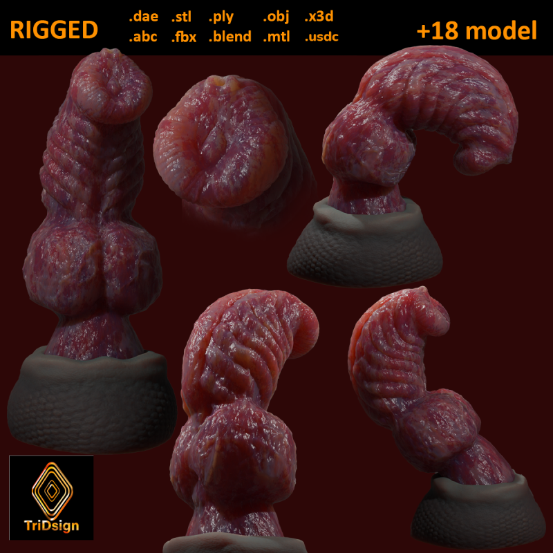 Fantasy Dragon Penis Sextoy Knottinham Rigged 3D Модель .c4d .max .obj .3ds .fbx .stl .blend