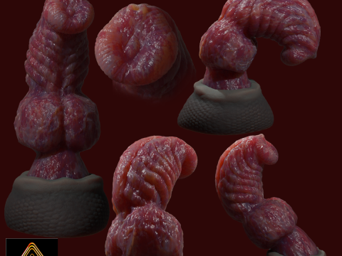 Fantasy Dragon Penis Sextoy Knottinham Rigged 3D Model