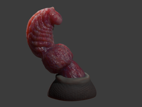Fantasy Dragon Penis Sextoy Knottinham Rigged 3D Модель