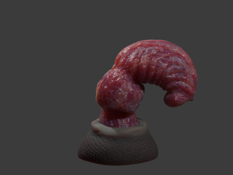 Fantasy Dragon Penis Sextoy Knottinham Rigged 3D Модель