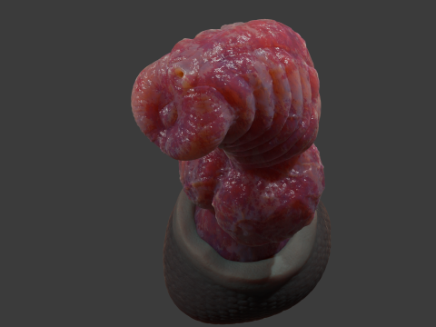 Fantasy Dragon Penis Sextoy Knottinham Rigged 3D Модель