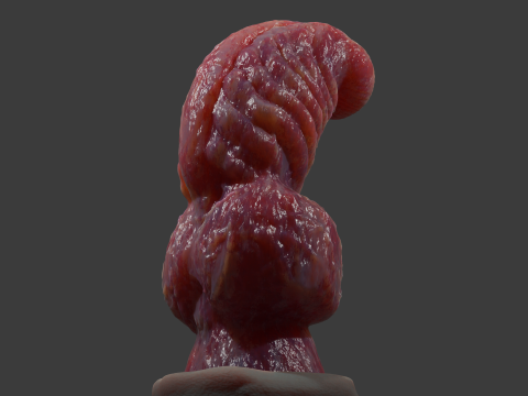Fantasy Dragon Penis Sextoy Knottinham Rigged 3D Модель