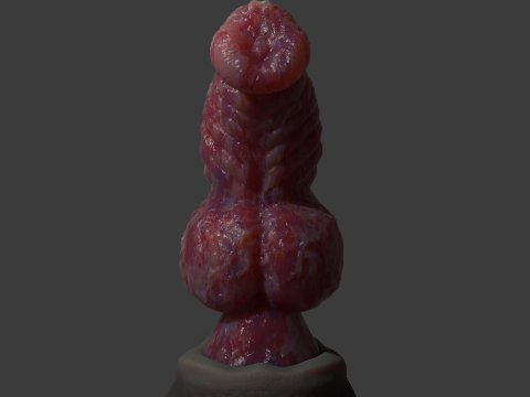 Fantasy Dragon Penis Sextoy Knottinham Rigged 3D Модель