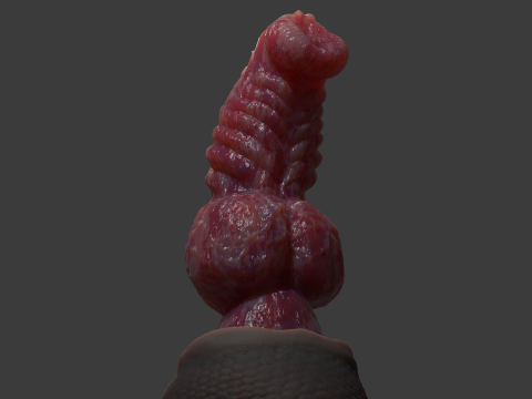 Fantasy Dragon Penis Sextoy Knottinham Rigged 3D Модель