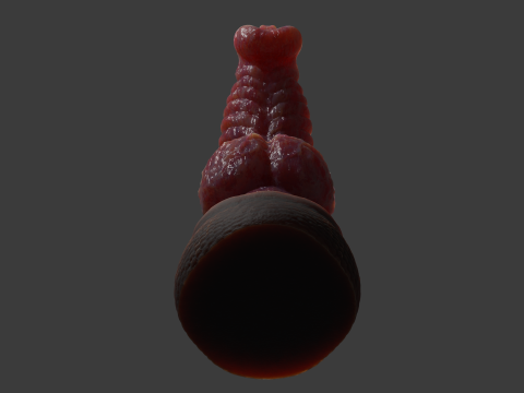 Fantasy Dragon Penis Sextoy Knottinham Rigged 3D Модель