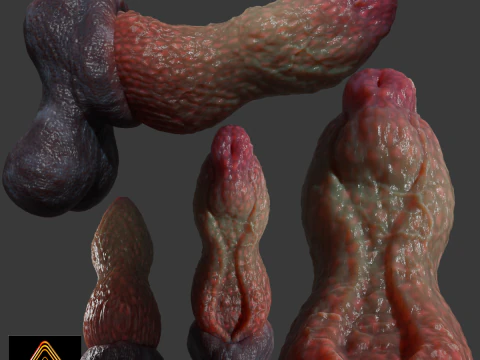 Fantay Dragon Penis Sextoy Jolthran Rigged Modelo 3D