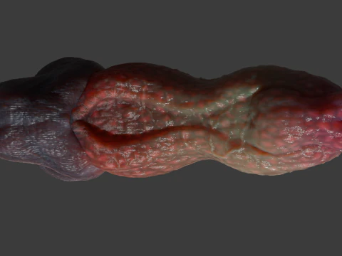 Fantay Dragon Pene Sextoy Jolthran truccato Modello 3D