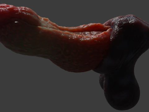 Fantay Dragon Pene Sextoy Jolthran truccato Modello 3D