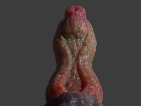 Fantay Dragon Penis Sextoy Jolthran Rigged 3Dモデル