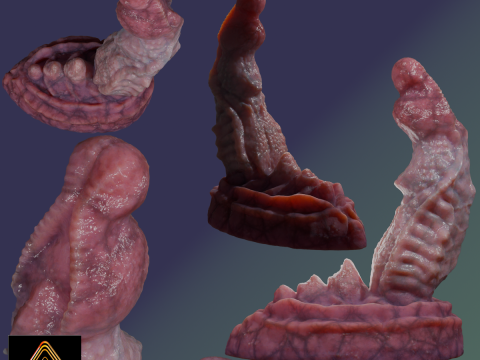 Dragon Penis Sextoy Lariastrax Low Poly Rigged Animated Modèle 3D
