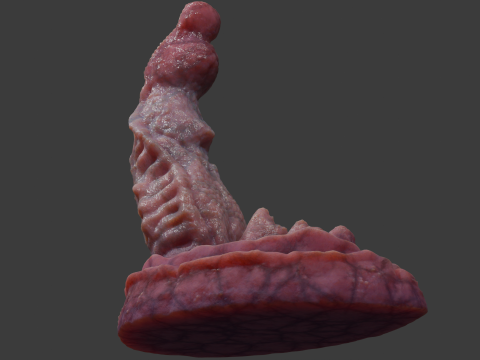 Dragon Penis Sextoy Lariastrax Low Poly Rigged Animated 3D Model