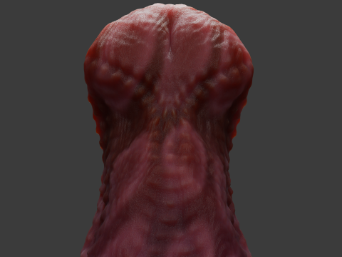 Zinitrox Alien Penis Sextoy Low Poly Rigged and Animated 3D 模型