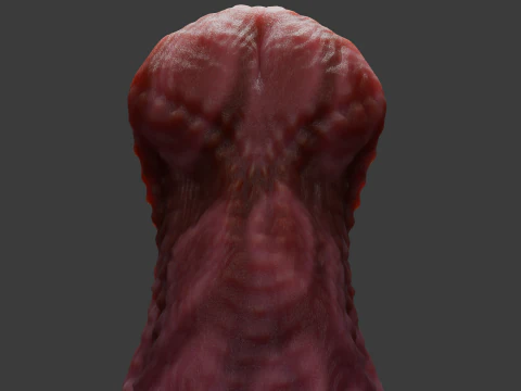 Zinitrox Alien Penis Sextoy Low Poly Rigged and Animated 3D Model