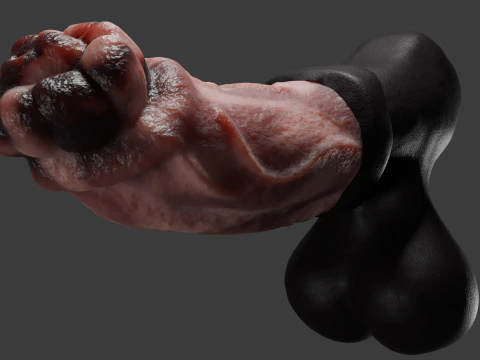 Horse Penis Low Poly Rigged and Animated 3D Model