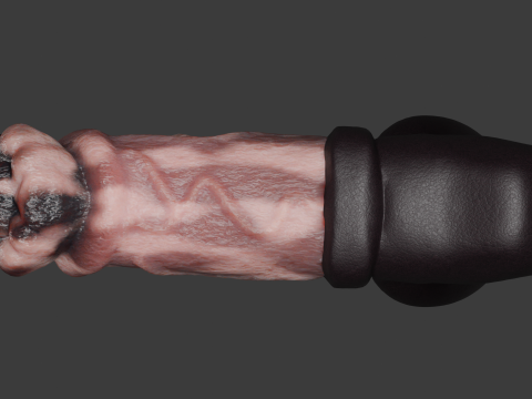 Horse Penis Low Poly Rigged and Animated 3D Модель