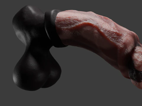 Horse Penis Low Poly Rigged and Animated 3D Model