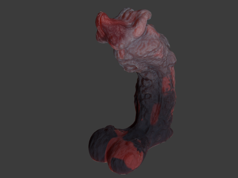 Mutant Penis Sextoy lowpoly Rigged 3D Модель