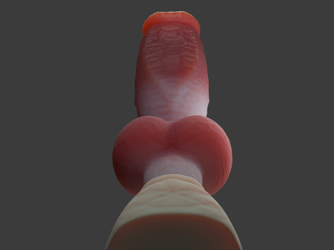 Gunthros Dog Penis Sextoy low poly Rigged 3D Model
