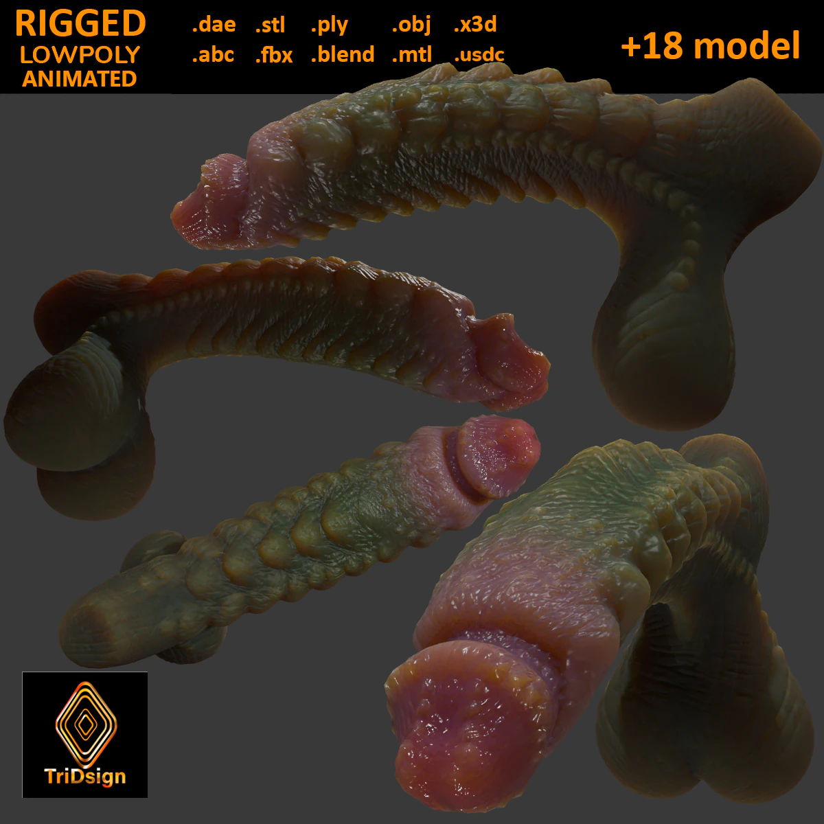Kudran Dragon Penis Lowpoly Rigged 3D Model .c4d .max .obj .3ds .fbx .stl .blend