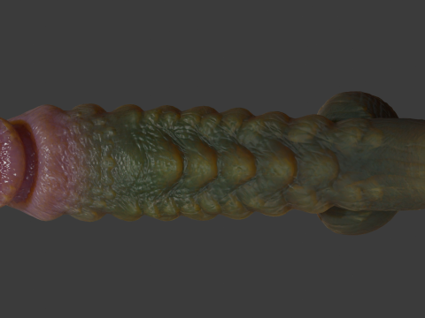 Kudran Dragon Penis Lowpoly Rigged 3D Модель