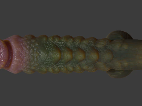Kudran Dragon Penis Lowpoly Rigged 3D Model