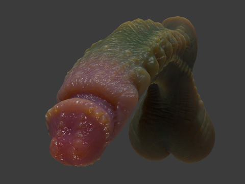 Kudran Dragon Penis Lowpoly Rigged 3D Модель