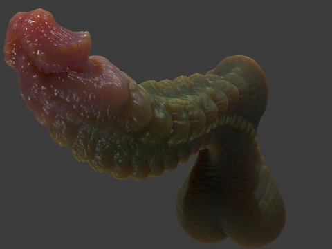 Kudran Dragon Penis Lowpoly Rigged 3D Model