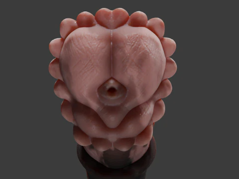 Horse Penis Rigged 3D Model