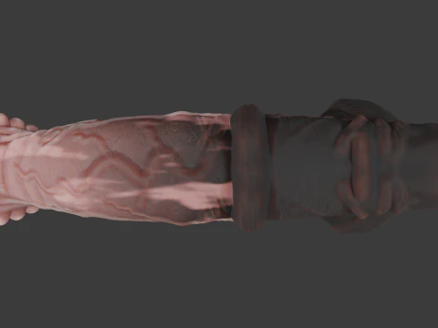 Horse Penis Rigged 3D Model
