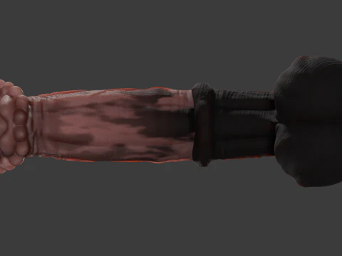 Horse Penis Rigged 3D Model