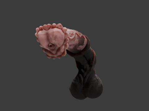 Horse Penis Rigged 3D Model