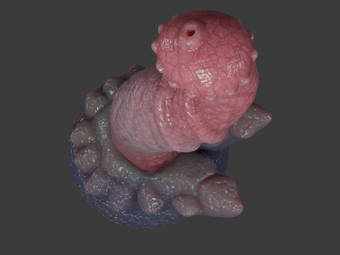 Brum Dragon Penis Sextoy low poly Rigged 3D Model
