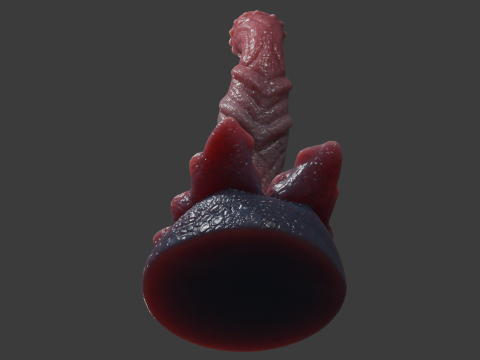 Brum Dragon Penis Sextoy low poly Rigged 3D Model
