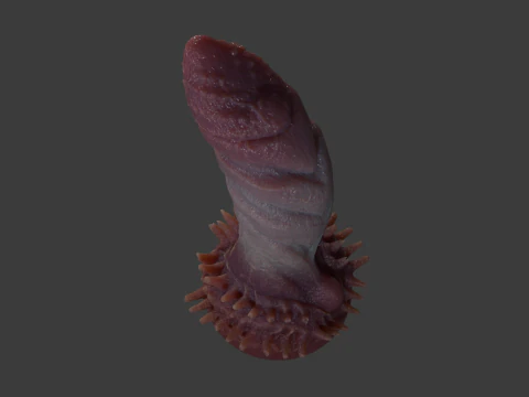 Zirugax Monster Penis Sextoy Rigged 3D Model