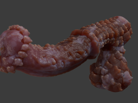 Fantasy Demon Horse Penis Rigged Modelo 3D