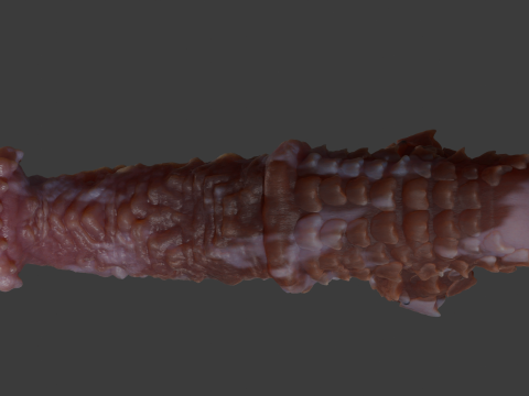 Fantasy Demon Horse Penis Rigged Modelo 3D