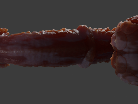 Fantasy Demon Horse Penis Rigged Modelo 3D