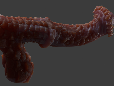 Fantasy Demon Horse Penis Rigged Modelo 3D