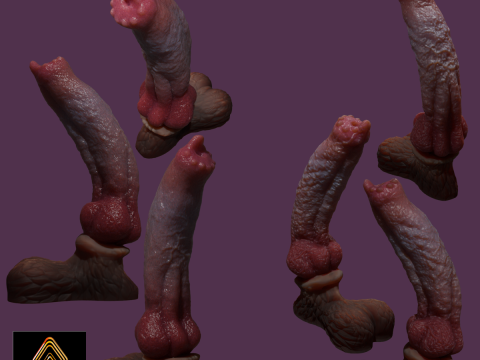 Long Dog Penis Sextoy Rigged 3D Model