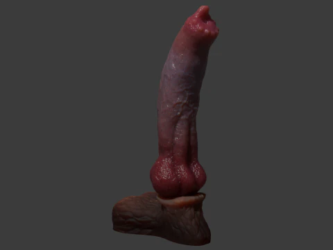 Long Dog Penis Sextoy Rigged 3D Model
