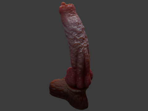 Long Dog Penis Sextoy Rigged 3D 모델
